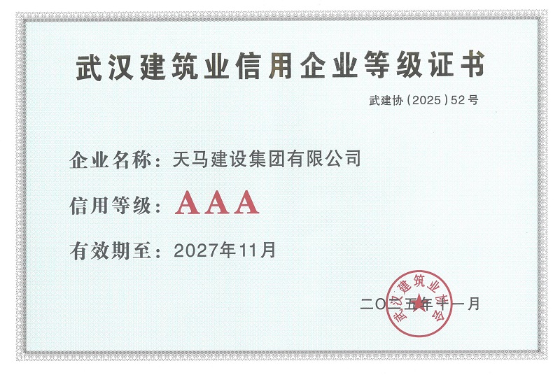 匠心鑄就卓越 奮進(jìn)譜寫新篇——天馬建設(shè)再獲多項榮譽